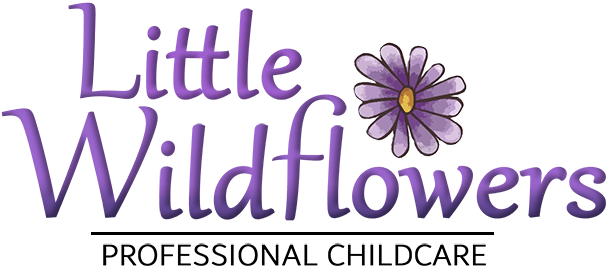 Little Wildflowers Childminding - Brighouse Childminder